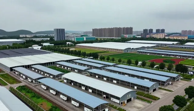 教育软件应用在学习效率提升中的多场景实践